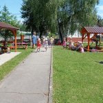 phoca_thumb_m_zajicci olymp 15 Fotogalerie